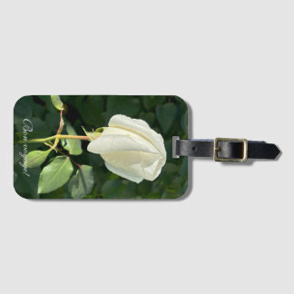 Bon voyage, Luggage Tag