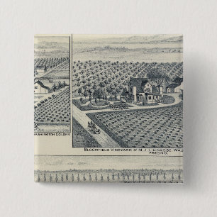Bonacourt Ranch, Washington Colony, California 2 Inch Square Button