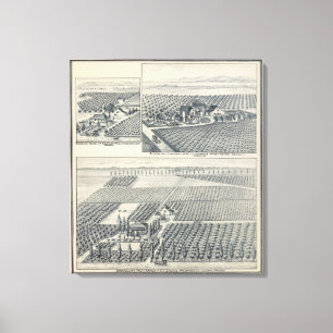 Bonacourt Ranch, Washington Colony, California Canvas Print