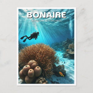 Bonaire Caribbean Netherlands Scuba Diver Diving Postcard
