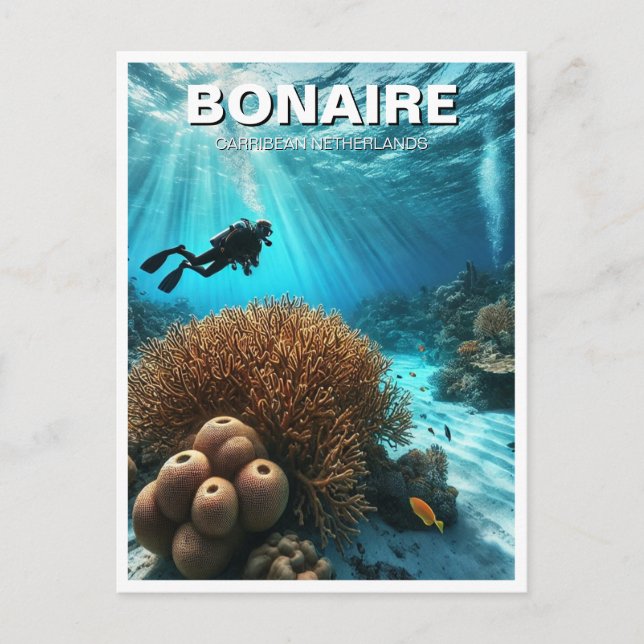 Bonaire Caribbean Netherlands Scuba Diver Diving Postcard (Front)