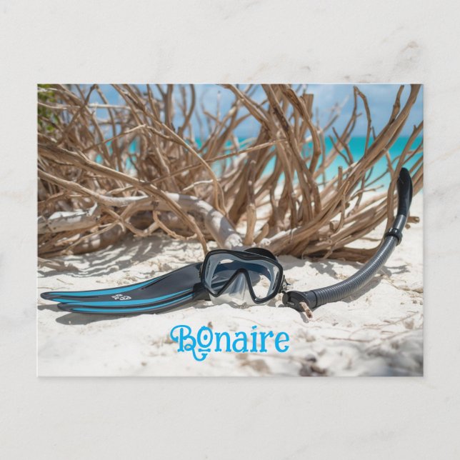 Bonaire divers paradise postcard (Front)