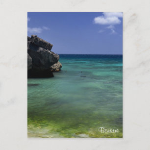 Bonaire Ocean Postcard