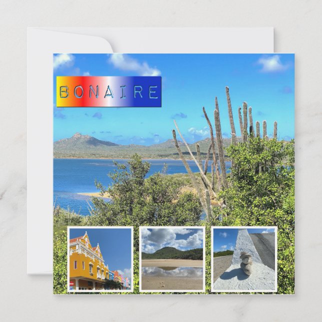 Bonaire Photo Collage flat card (Front)