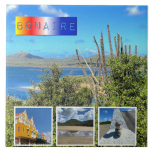 Bonaire Photo Collage  Tile