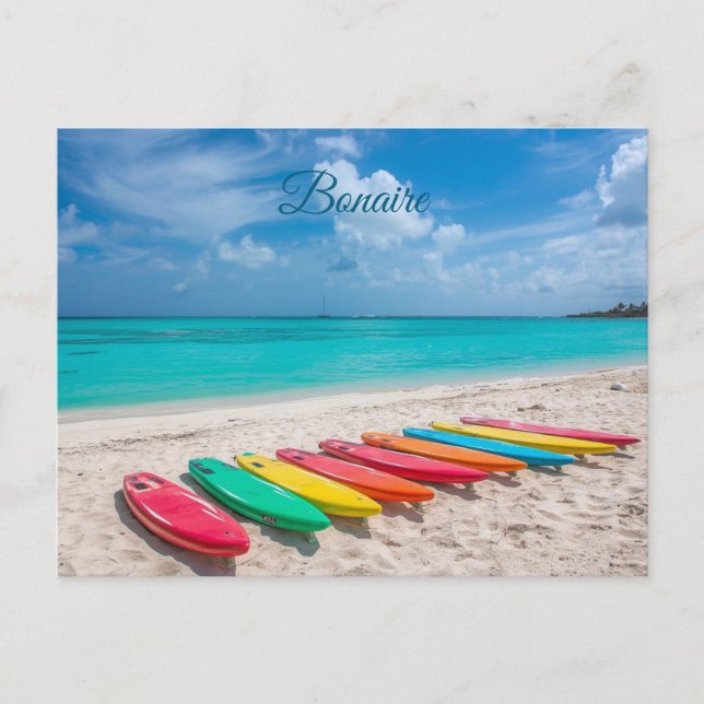 Bonaire Postcard (Front)