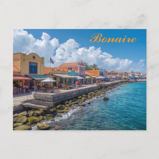 Bonaire Postcard (Front)