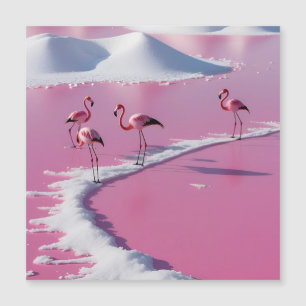 Bonaire salt flats