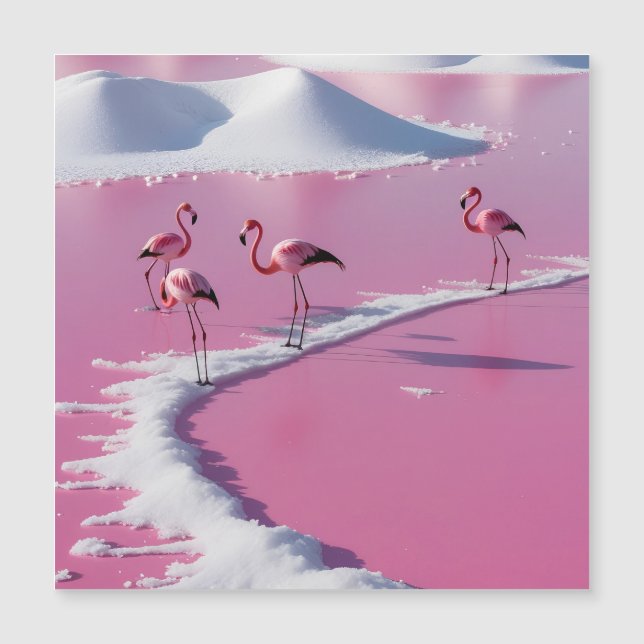 Bonaire salt flats  (Front)