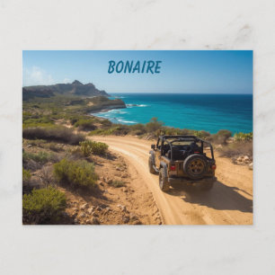 Bonaire slagbaai  park postcard