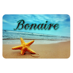 Bonaire starfish magnet