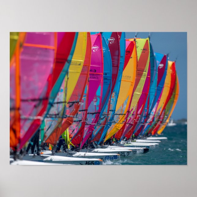 Bonaire wind surfers poster (Devant)