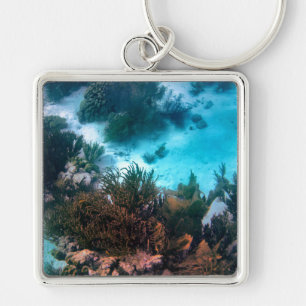 Bonairean Reef Keychain