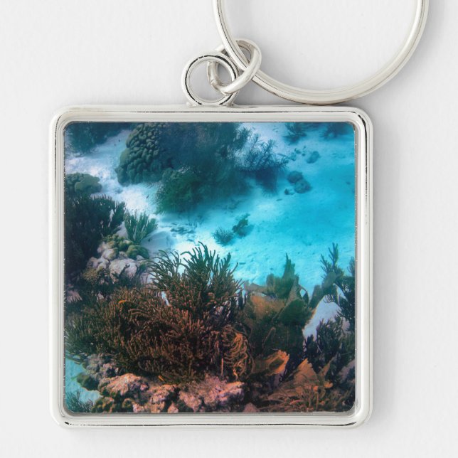 Bonairean Reef Keychain (Front)