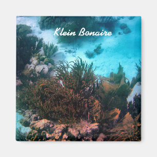 Bonairean Reef Magnet
