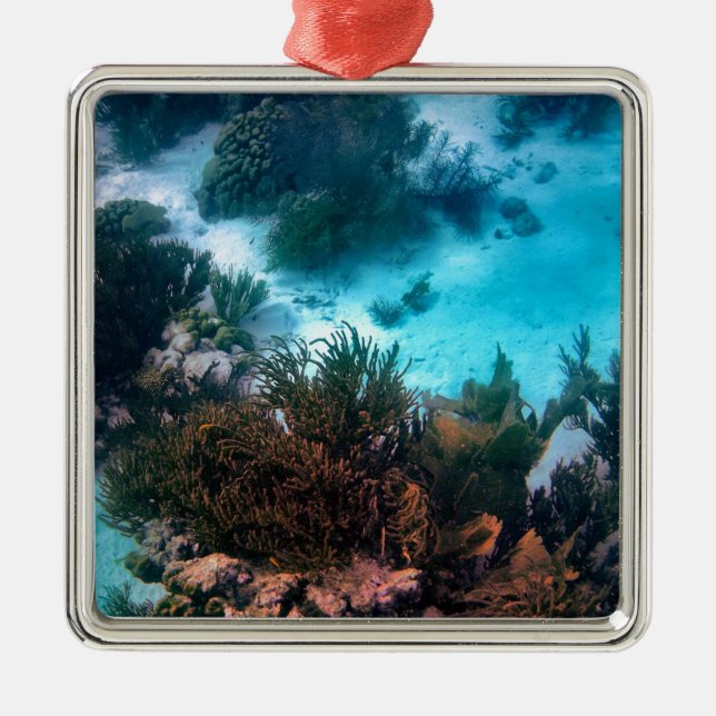 Bonairean Reef Metal Ornament (Front)