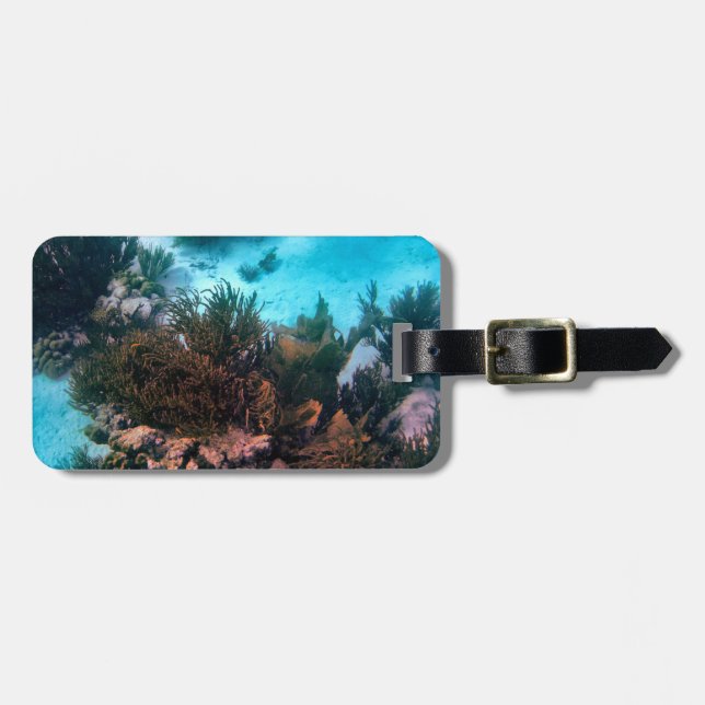 Bonairean Reef Personalized Luggage Tag (Front Horizontal)
