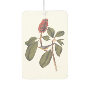 Bonaparte Flycatcher Canada Warbler Audubon Bird Air Freshener