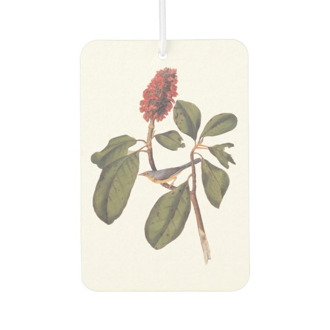 Bonaparte Flycatcher Canada Warbler Audubon Bird Air Freshener (Front)