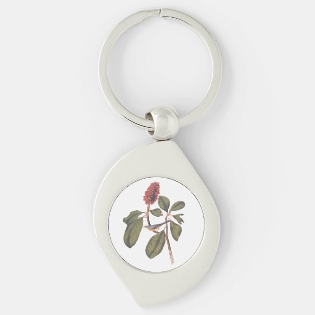Bonaparte Flycatcher Canada Warbler Audubon Bird Keychain (Front)