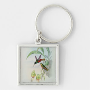 Bonaparte's Star Fronted Hummingbird (coloured lit Keychain