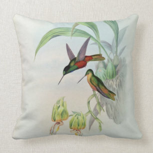 Bonaparte's Star Fronted Hummingbird (coloured lit Throw Pillow