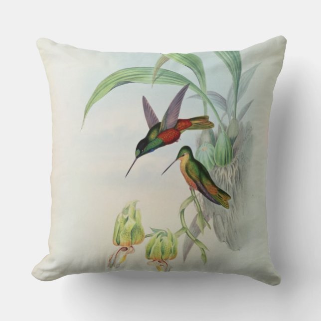 Bonaparte's Star Fronted Hummingbird (coloured lit Throw Pillow (Front)