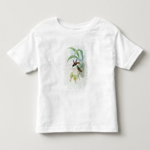 Bonaparte's Star Fronted Hummingbird (coloured lit Toddler T-shirt