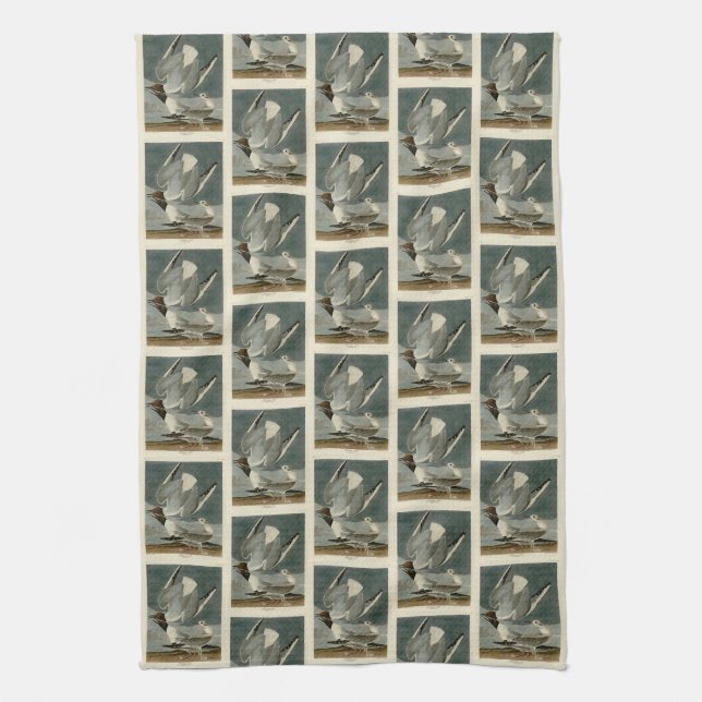 Bonapartian Gull from Audubon's Birds of America Kitchen Towel (Vertical)