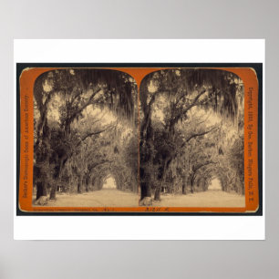 Bonaventure Cemetery, Savannah, Ga c. 1887 Poster