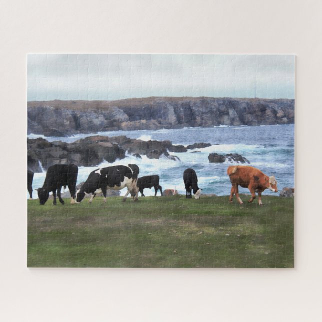 Bonavista Newfoundland Cattle Jigsaw Puzzle (Horizontal)