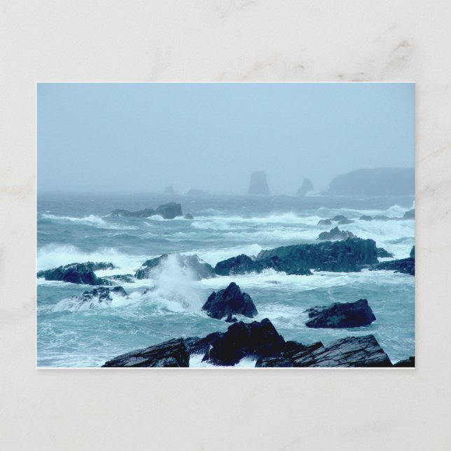 Bonavista Storm Postcard (Front)