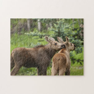 Bonded Moose Calves Jigsaw Puzzle