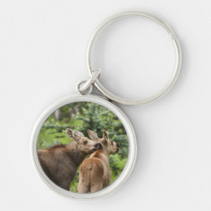 Bonded Moose Calves Keychain