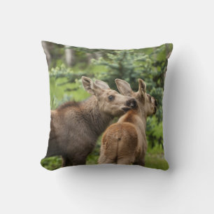 Bonded Moose Calves Throw Pillow