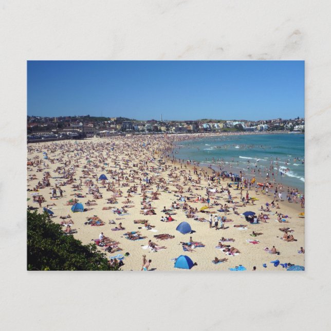 bondi beach postcard (Front)