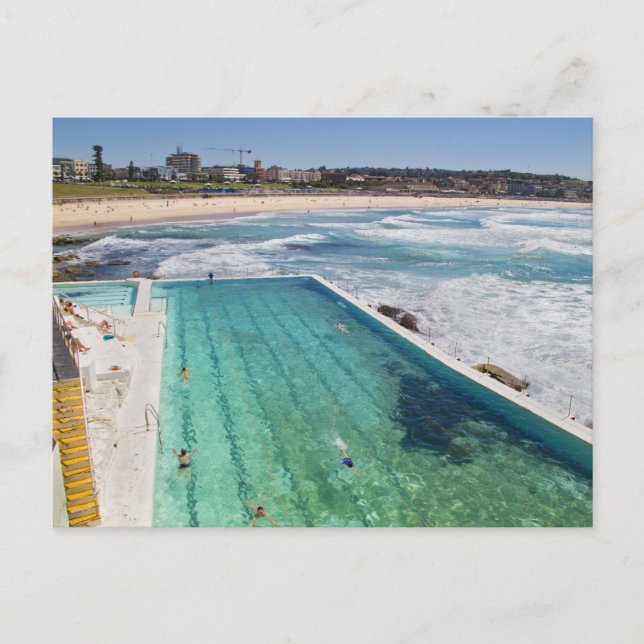 Bondi Icebergs at Bondi Beach Postcard (Front)