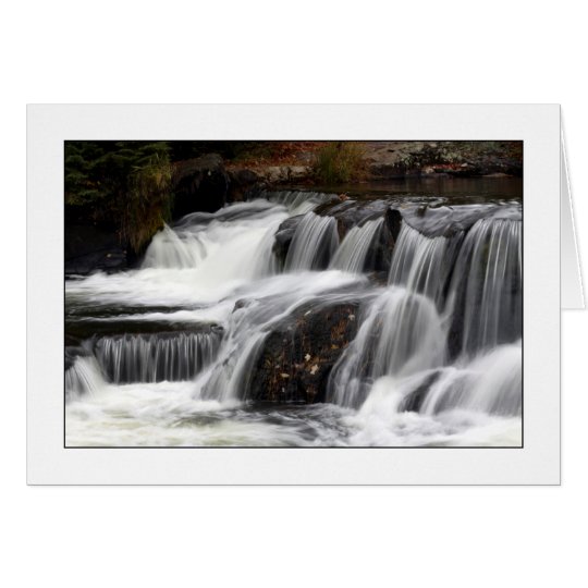 Bonding With Nature Card