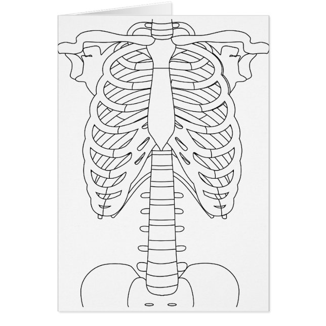 bone_01 (Front)