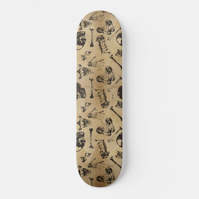 Bone Anatomy Archaeology Skateboard (Front)