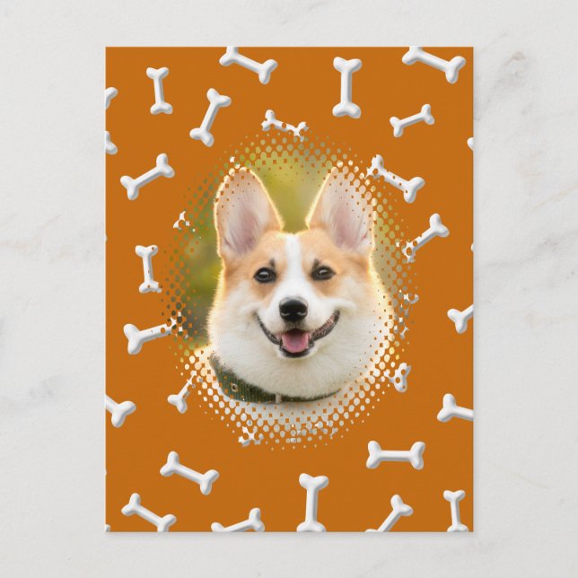 Bone Pattern Dog Frame Art Postcard (Front)