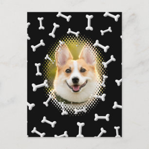 Bone Pattern Dog Frame Print Postcard