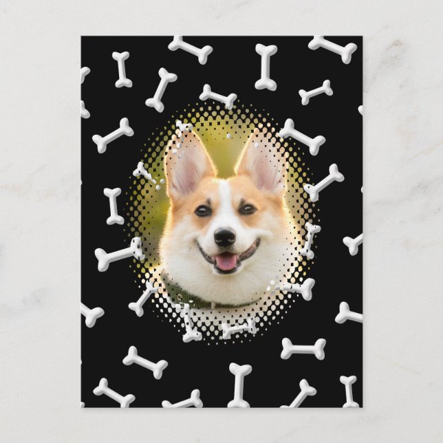 Bone Pattern Dog Frame Print Postcard (Front)