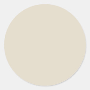 Bone (solid color) classic round sticker