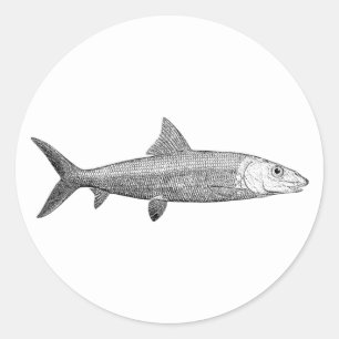 Bonefish Logo Classic Round Sticker