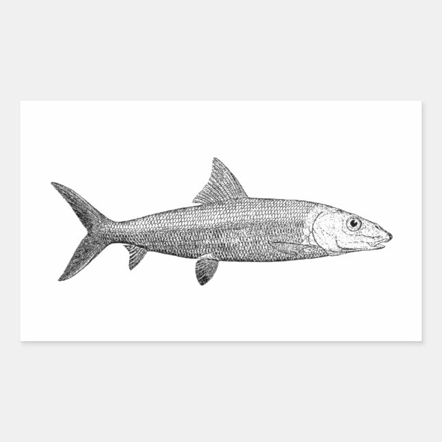 Bonefish Logo Sticker (Front)