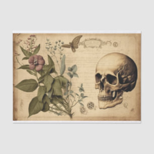 Bones and Botany Skull butterfy decoupage vintage Tissue Paper