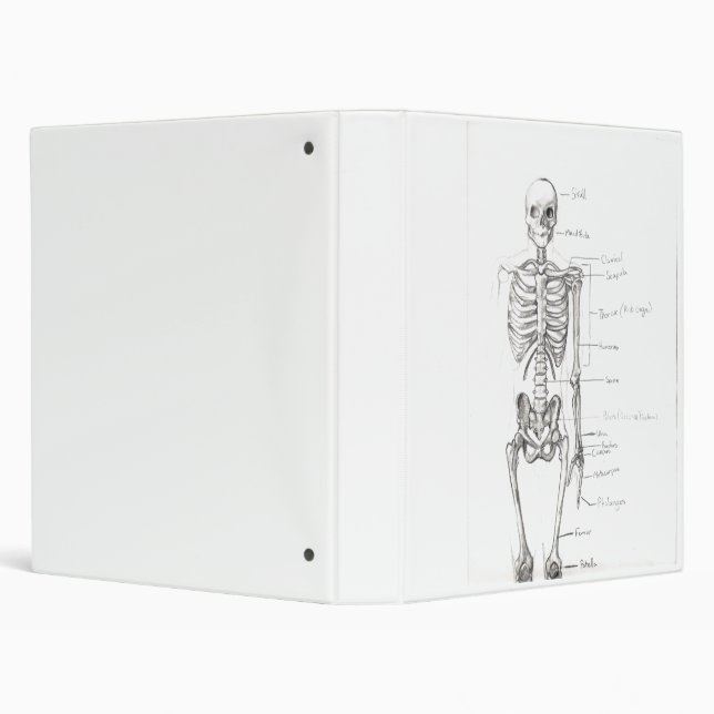 Bones Binder (Background)