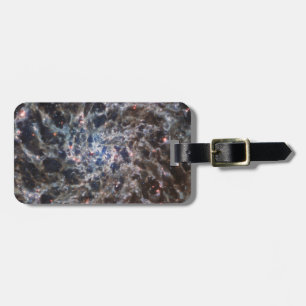 Bones of Galaxy IC5332 from JWST Luggage Tag
