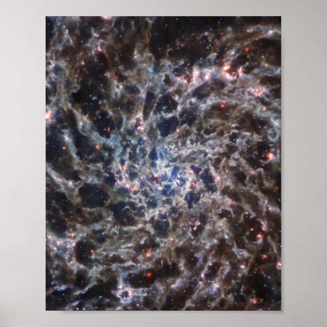 Bones of Galaxy IC5332 from JWST Poster (Front)